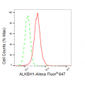 LifeSab™ ALKBH1 Rabbit mAb (20 μl)