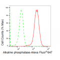 LifeSab™ TNAP Rabbit mAb (20 μl)