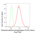 LifeSab™ PLAP Rabbit mAb (20 μl)