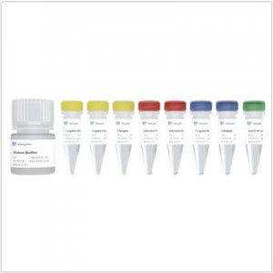 EpiArt DNA Methylation Library Kit for Illumina V3 (24 rxns)