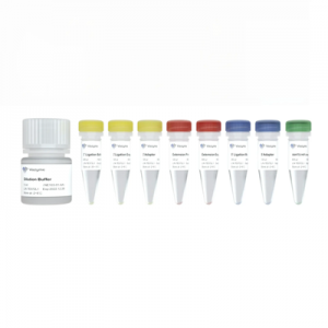 EpiArt DNA Methylation Library Kit for Illumina V3 (24 rxns)