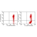 JC1 Mitochondrial Membrane Potential Detection Kit (100 rxn)