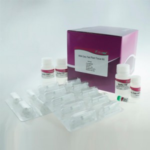 RNA Easy Fast Plant Tissue Kit (50 preps)