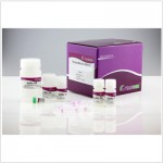 TIANamp Virus DNA/RNA Kit (50 preps)