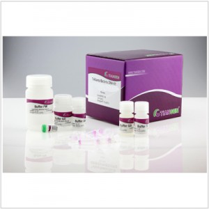 TIANamp Bacteria DNA Kit (50 preps)