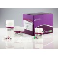 TIANamp Micro DNA Kit (50 preps)