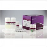 RNA Easy Fast Tissue/Cell Kit (50 preps)