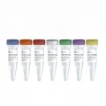 VAHTS Universal DNA Library Prep Kit for Illumina V4 (24 rxns)