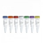 VAHTS Universal DNA Library Prep Kit for Illumina V4 (24 rxns)