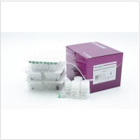 TIANamp Virus RNA Kit (50 preps)