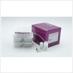 EndoFree Midi Plasmid Kit (10 preps)