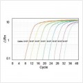 LiQuant™ Universal Green qPCR Master Mix (2500 rxns)