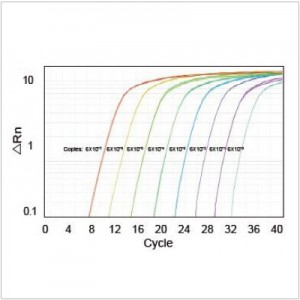 LiQuant™ Universal Green qPCR Master Mix (500 rxns)