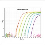 LiQuant™ Ultra Green qPCR Master Mix (500 rxns)