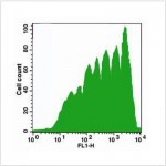 LiFluor™ CFSE Cell Proliferation Kit (1000 rxns)