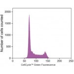 Cell Cycle Green Stain (100 rxns)