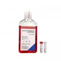 NK Cells Induction Culture Kit