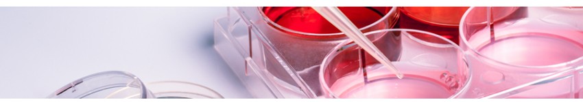 Cell Culture Media