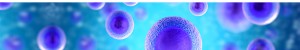 LiFluor™ Cell Proliferation Kits