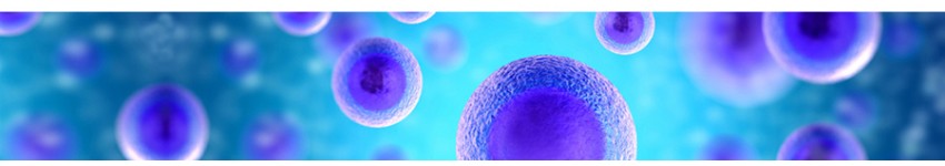 LiFluor™ Cell Proliferation Kits