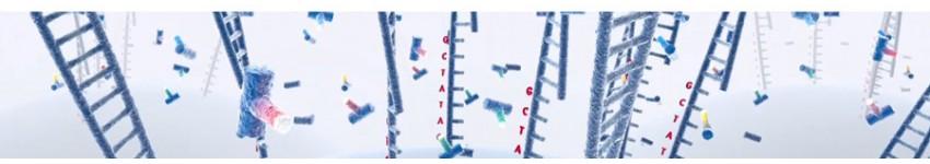 Oligo Modifications