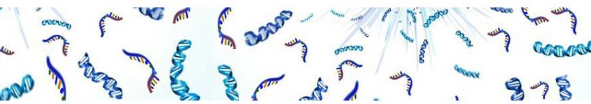 Large-scale Oligo Synthesis