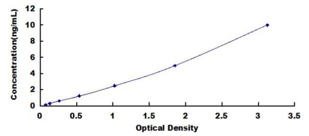 HS6ST2 ELISA Kit