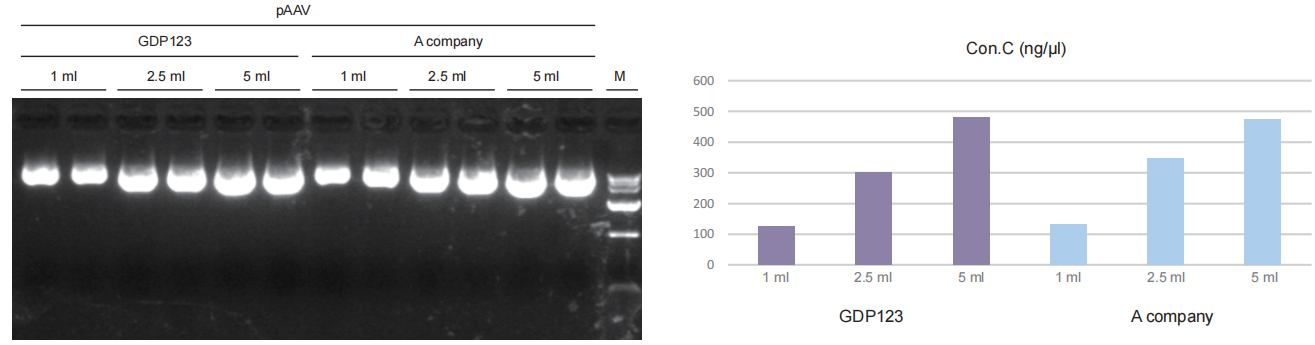 endofree mini plasmid kit