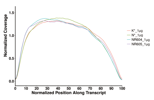 RNA-seq Library Prep Kit