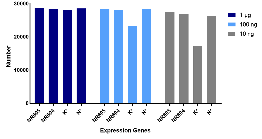 RNA-seq Library Prep Kit