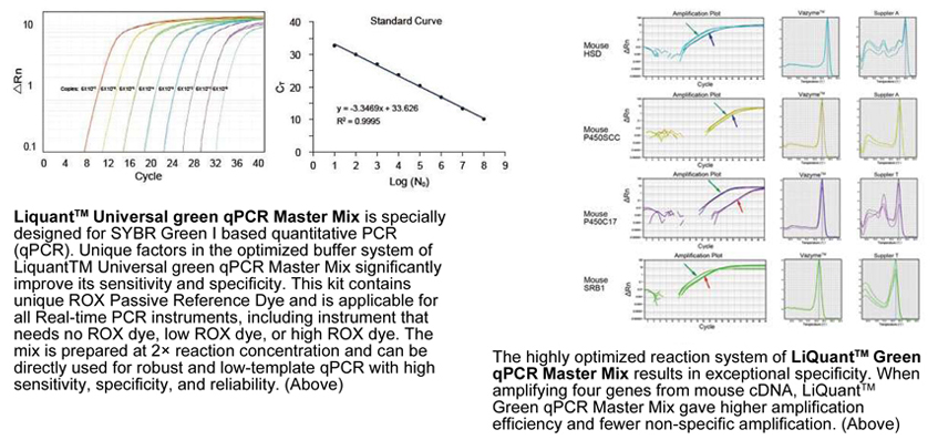 Green qPCR Master Mix